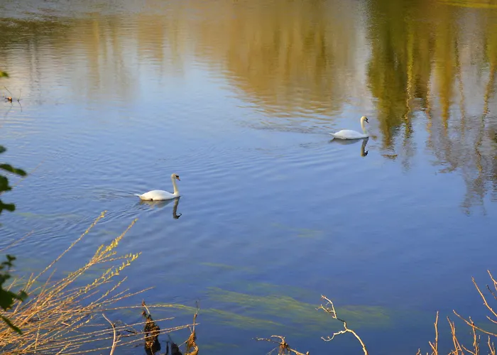 View House Гостьовий будинок