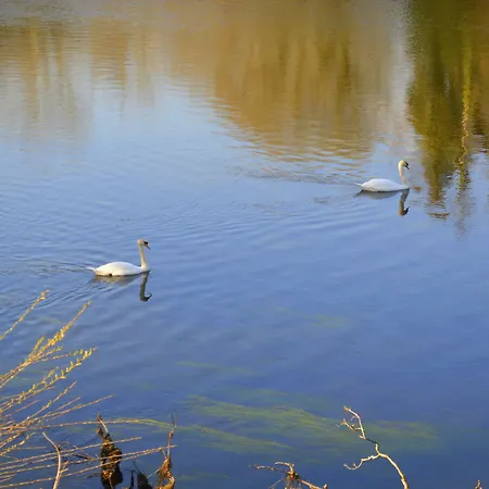 View House ゲストハウス