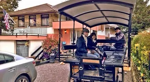 View House Guest house 3*